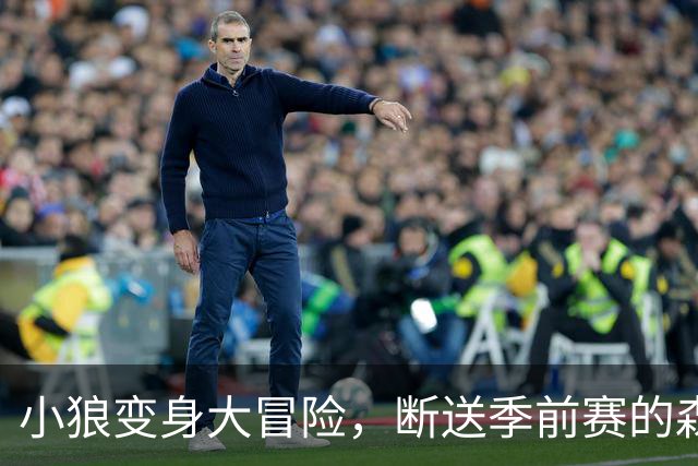 小狼变身大冒险，断送季前赛的森林风！